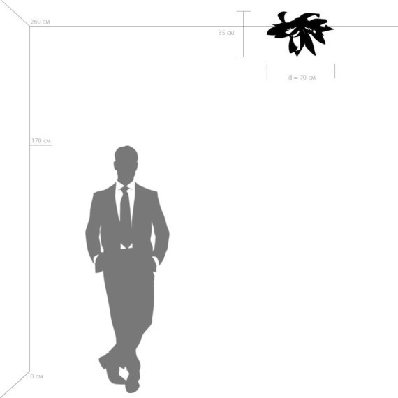 Люстра потолочная Lightstar 754167 Turbio под лампы 6xG9 36W