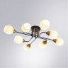 Потолочная люстра Arte Lamp ANDREA A8141PL-8BK