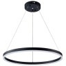Подвесная люстра Arte Lamp SIREN A2548SP-45BK