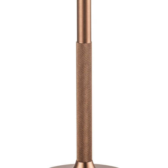 Настольная лампа Alfa Lightstar 745901