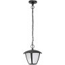 Уличный подвесной светильник Lightstar 375070 Lampione IP54 светодиодный LED 80W