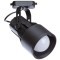 Однофазный двужильный трековый светильник Arte Lamp A6252PL-1BK LYRA под сменную лампу Е27