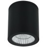 Уличный потолочный светильник Arte Lamp TORCULAR A1813PF-1BK
