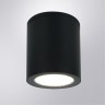 Уличный потолочный светильник Arte Lamp TORCULAR A1813PF-1BK