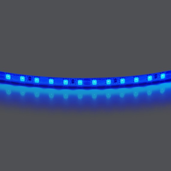 Лента цветного свечения 24V, синий Lightstar Lightstar 420515