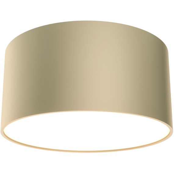 Потолочный светильник Technical C032CL-12W3K-RD-MG