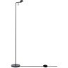 Напольный светильник (торшер) Freya FR5549FL-L5B