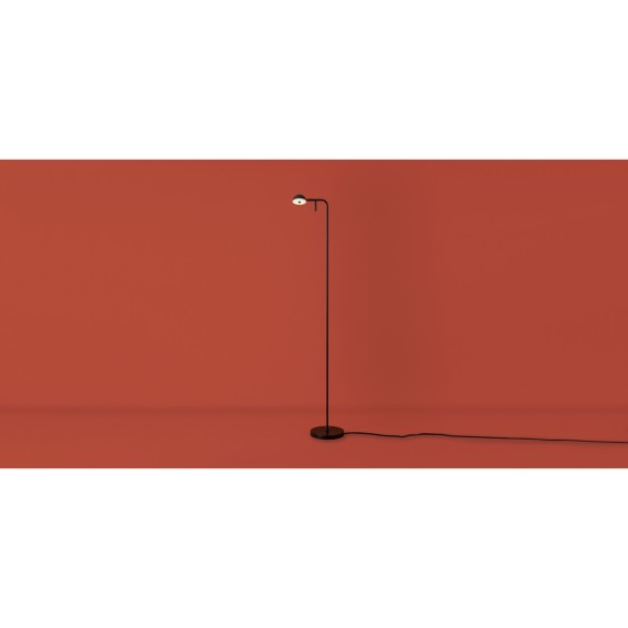 Напольный светильник (торшер) Freya FR5549FL-L5B