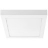 Настенно-потолочный светильник Lightstar 324064 Zocco IP40 светодиодный LED 60W