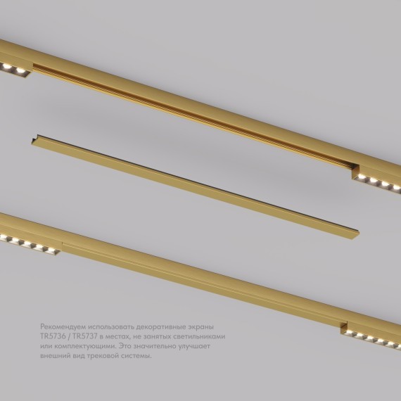 Заглушка 50см для лицевой части шинопровода Denkirs Shine 48V TR5737-SB