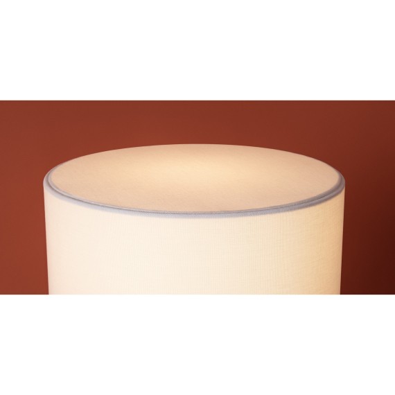 Настольный светильник Freya FR2054TL-01BS2