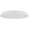 10226 White Потолочный светильник LOFT IT Brim