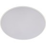 10226 White Потолочный светильник LOFT IT Brim