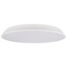 10226 White Потолочный светильник LOFT IT Brim