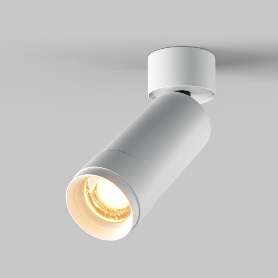 Потолочный светильник Technical C055CL-L12W2.7K-Z-W