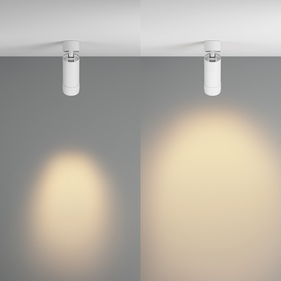 Потолочный светильник Technical C055CL-L12W2.7K-Z-W