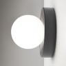 Настенный светильник (бра) Maytoni MOD403WL-01GR
