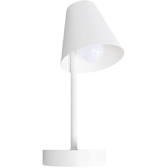 10216/1W White Настенный светильник LOFT IT Shelf