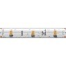 Светодиодная лента Base 12В 2835 9,6Вт/м 6000K 5м IP 65 Led Strip 201176
