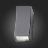 SL088.421.02 Светильник уличный настенный ST-Luce Черный кварцевый LED 2*5W 4000K DEALE