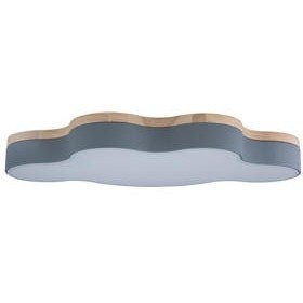 10005/36 Grey Потолочный светильник LOFT IT Axel