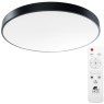 Настенно-потолочный светильник Arte Lamp A2673PL-1BK ARENA светодиодный LED 80W