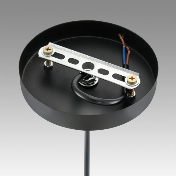 Подвесной светильник E27 Lumion LEONELA 8052/1А