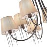 SLE1118-802-08 Светильник потолочный Черный хром/Бежевый E14 8*40W ALLURIA