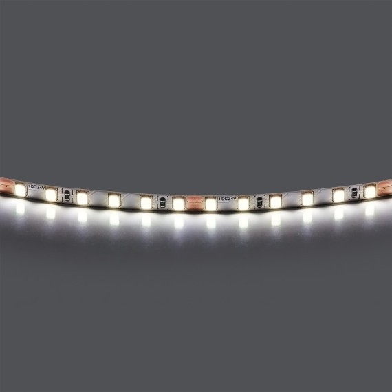 Лента холодного белого свечения 24V Lightstar Lightstar 420505