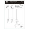 Подвесной светильник Arte Lamp ARIES A8983SP-3PB