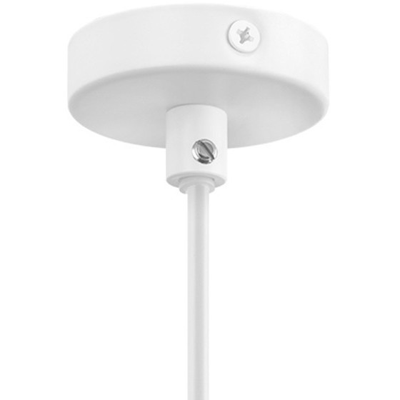 Подвесной светильник с 1 плафоном Lightstar 765026 Loft под лампу 1xE14 40W