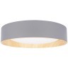 10202 Grey Потолочный светильник LOFT IT Coin