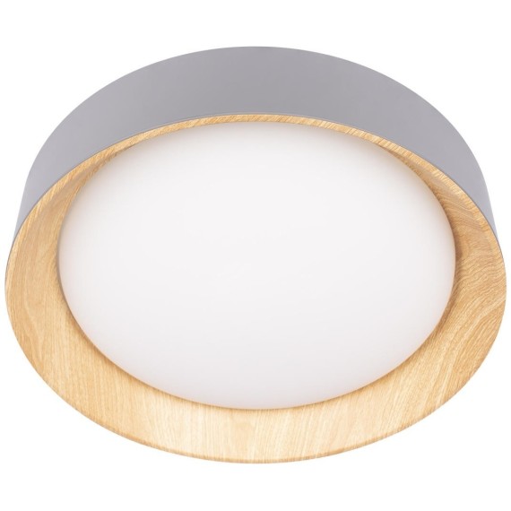 10202 Grey Потолочный светильник LOFT IT Coin