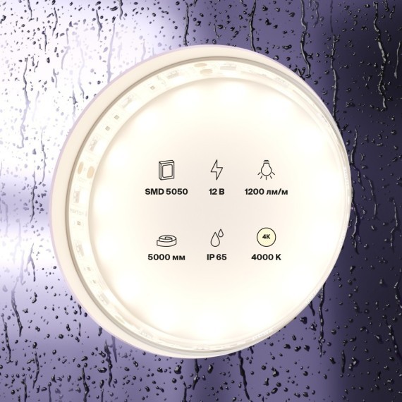 Светодиодная лента 12В 5050 14,4Вт/м 4000K 5м IP65 арт.10132