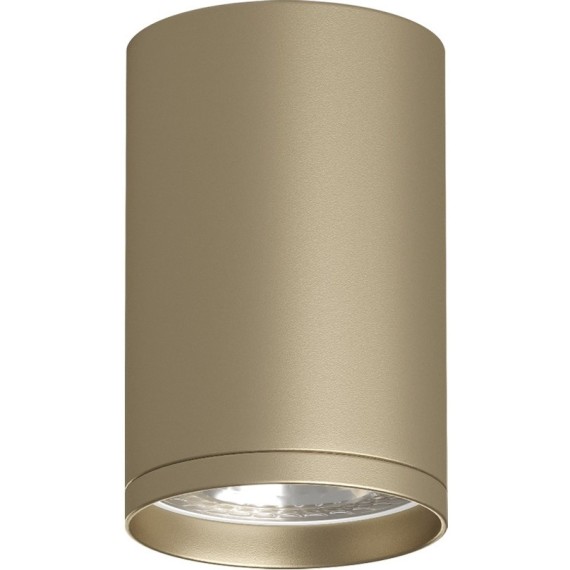 Точечный светильник Tube DK2050-SG