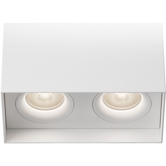 Потолочный светильник Technical C015CL-02W