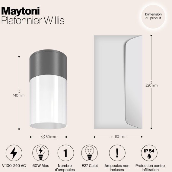 Потолочный светильник Outdoor O418CL-01GR