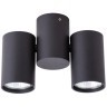 Накладной потолочный светильник Arte Lamp A1511PL-2BK GAVROCHE под лампы 2xGU10 35W