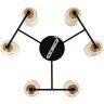 Люстра потолочная Arte Lamp A7027PL-6BK LEO под лампы 6xE14 40W