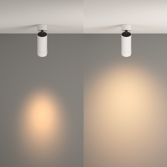 Потолочный светильник Technical C055CL-L12W3K-Z-W