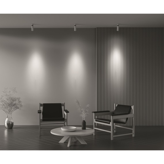 Потолочный светильник Technical C055CL-L12W3K-Z-W