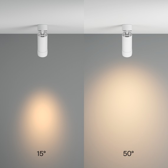 Потолочный светильник Technical C055CL-L12W3K-Z-W