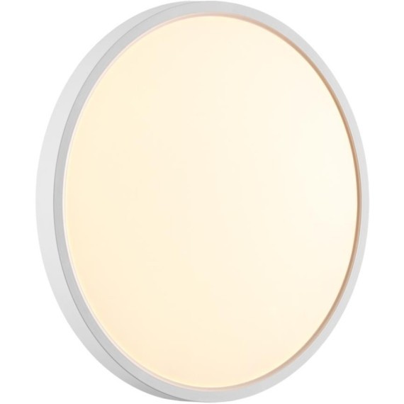 Настенно-потолочный светильник СОНЕКС Sonex ALFA WHITE 7659/24L