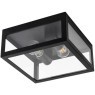 Уличный потолочный светильник Arte Lamp A4569PF-2BK BELFAST IP44 под лампы 2xE27 60W