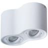 Накладной потолочный светильник Arte Lamp A5645PL-2WH FALCON под лампы 2xGU10 50W