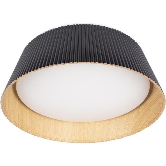 10224 Black Потолочный светильник LOFT IT Evans