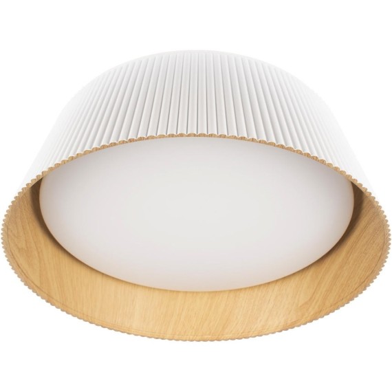 10224 White Потолочный светильник LOFT IT Evans