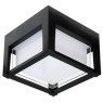 Уличный потолочный светильник Arte Lamp ULYSSES A6406PF-1BK