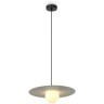 Подвесной светильник Freya FR5390PL-01W