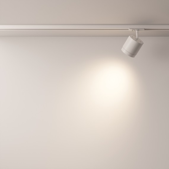 Однофазный двужильный трековый светильник Maytoni Unity TR088-1-GX53-W POLAR под сменную лампу GX53